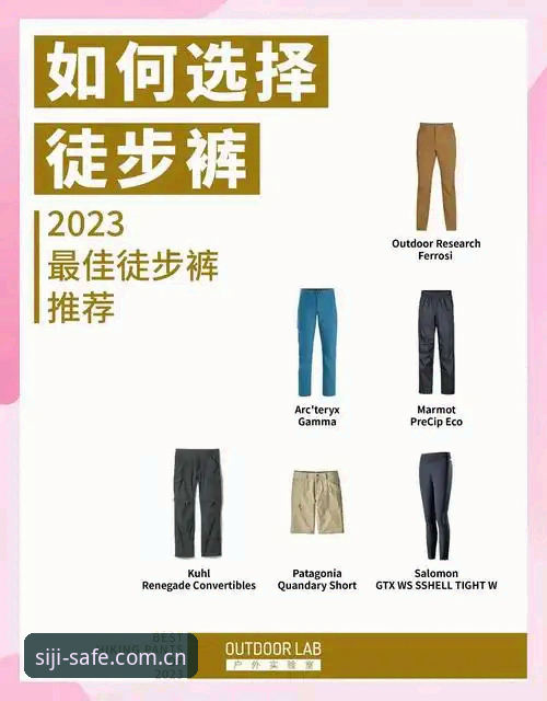 四季官方站点必备指南：从入口到使用的深度解析